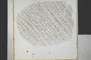 Plane Polarized, S30444