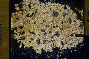 Cross Polarized, S30445