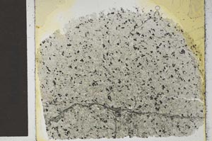 Plane Polarized, S30486