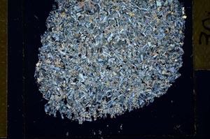 Cross Polarized, S30500