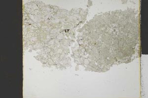 Plane Polarized, S30520