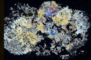 Cross Polarized, S30543