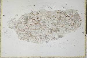 Plane Polarized, S30645