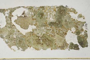Plane Polarized, S30647/A