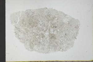 Plane Polarized, S30738