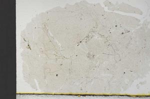 Plane Polarized, S30744