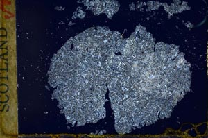 Cross Polarized, S30758