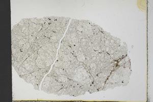 Plane Polarized, S30769