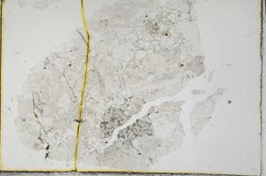 Plane Polarized, S30774
