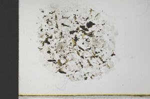 Plane Polarized, S30829