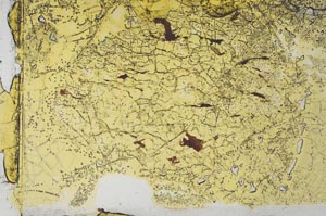 Plane Polarized, S30838