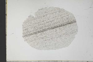Plane Polarized, S30854