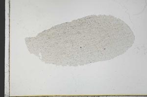 Plane Polarized, S30862