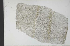 Plane Polarized, S30879
