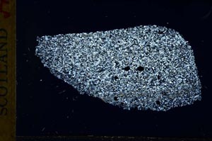 Cross Polarized, S30899