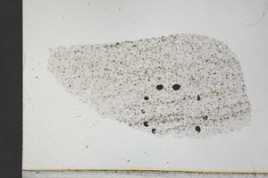 Plane Polarized, S30899