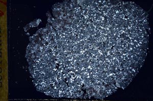 Cross Polarized, S30904