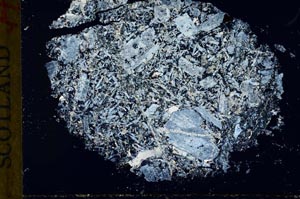 Cross Polarized, S30908