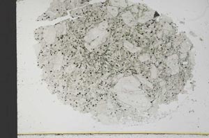 Plane Polarized, S30908