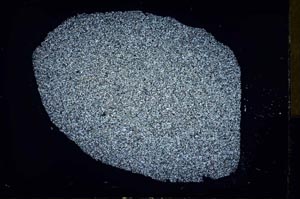 Cross Polarized, S30910