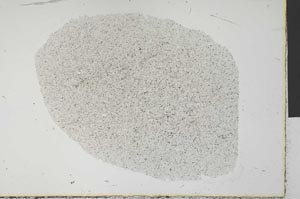 Plane Polarized, S30910