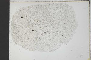 Plane Polarized, S30912