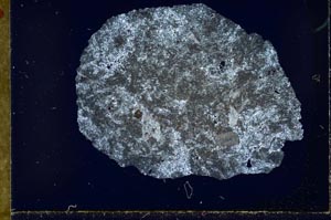 Cross Polarized, S30943