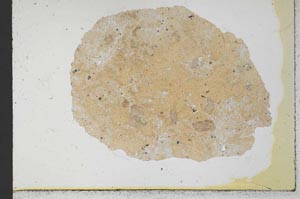 Plane Polarized, S30943