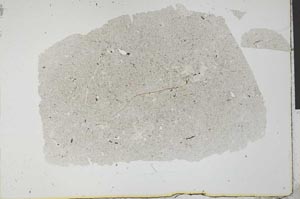 Plane Polarized, S30977