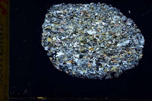 Cross Polarized, S30989