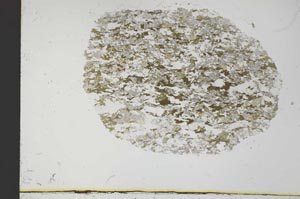 Plane Polarized, S30989