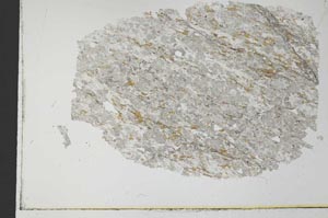 Plane Polarized, S30990