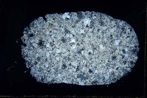 Cross Polarized, S30995