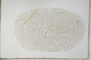 Plane Polarized, S30995