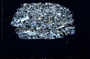 Cross Polarized, S30997