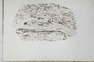 Plane Polarized, S30997