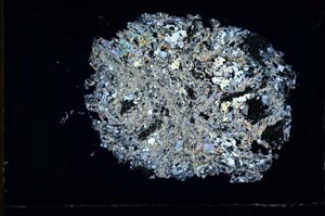 Cross Polarized, S31004