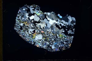 Cross Polarized, S31008