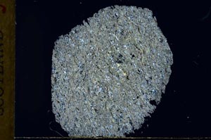 Cross Polarized, S31010