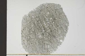 Plane Polarized, S31010