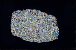 Cross Polarized, S31011