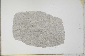 Plane Polarized, S31011