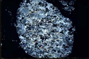 Cross Polarized, S31014