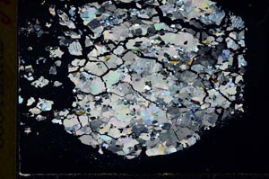 Cross Polarized, S31016