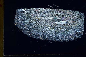 Cross Polarized, S31017