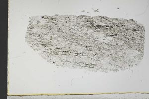 Plane Polarized, S31017