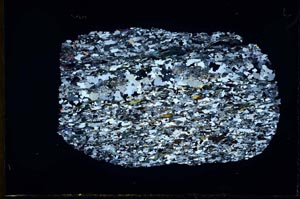 Cross Polarized, S31019