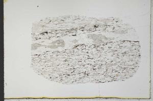 Plane Polarized, S31019