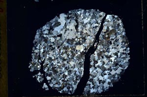 Cross Polarized, S31020