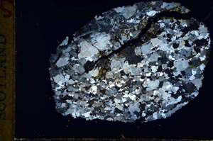 Cross Polarized, S31021